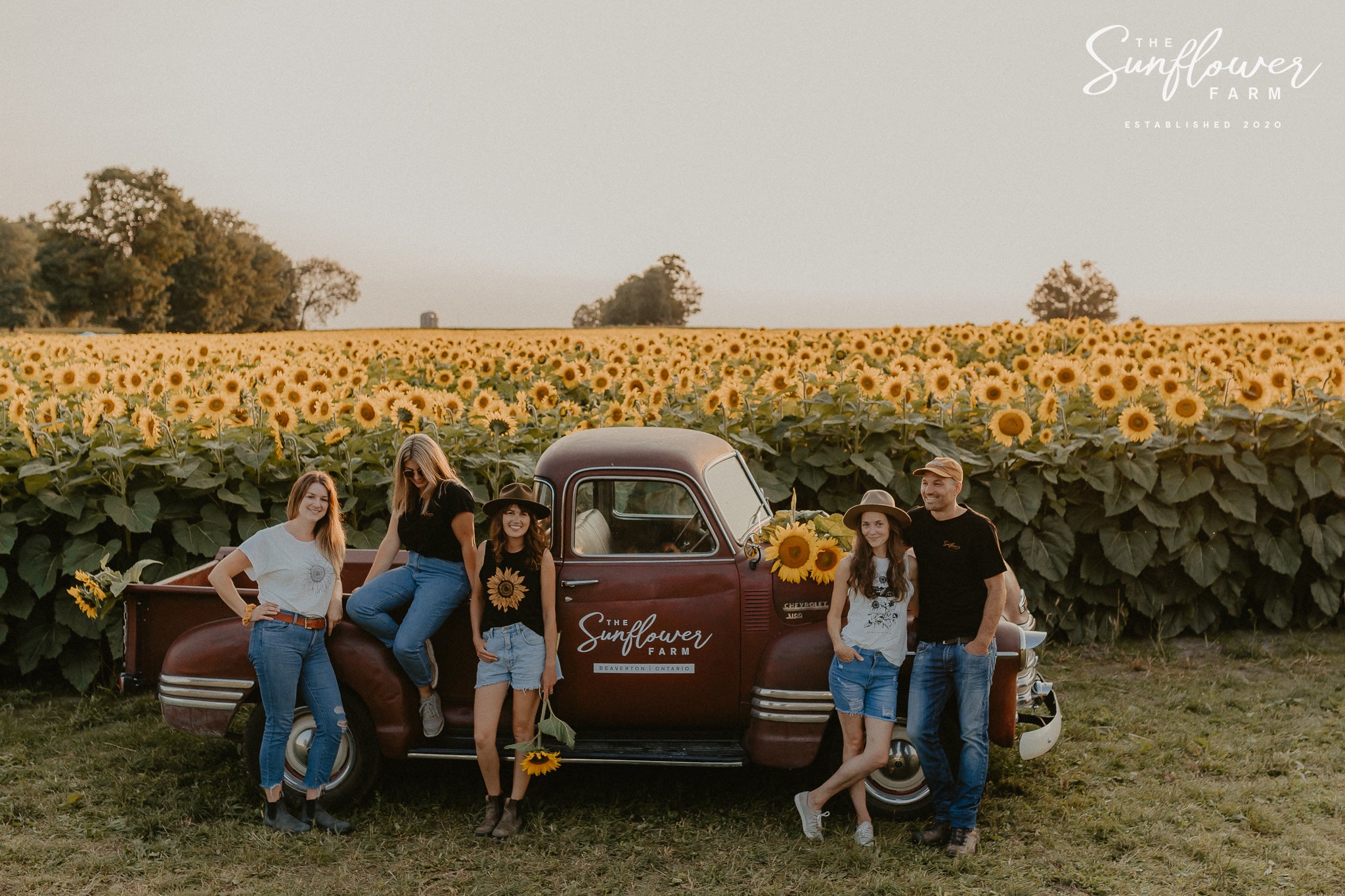 KNOWN SUPPLIER Spotlight: The Sunflower Farm